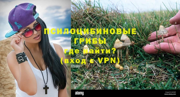 твердый Верея