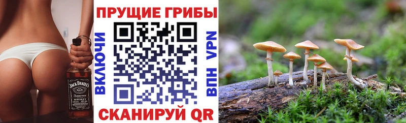 Галлюциногенные грибы Psilocybine cubensis  Серов 